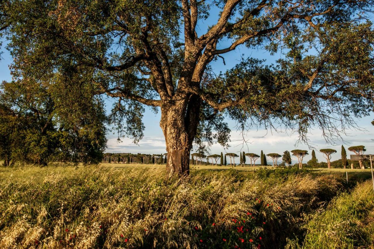 Refugium Countryhouse Podere Cernaia Екстериор снимка